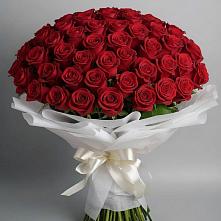 Букет 101 Красная роза Блэк Мэджик в Талинке