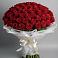 Букет 101 Красная роза Блэк Мэджик в Талинке