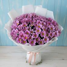 Букет цветов из:  Хризантемы в Талинке