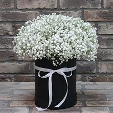 Цветочная композиция из Гипсофила в шляпной коробке #REPLACE_PRED# Талинке