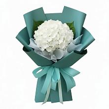 Букет цветов из:  Гортензия в Талинке